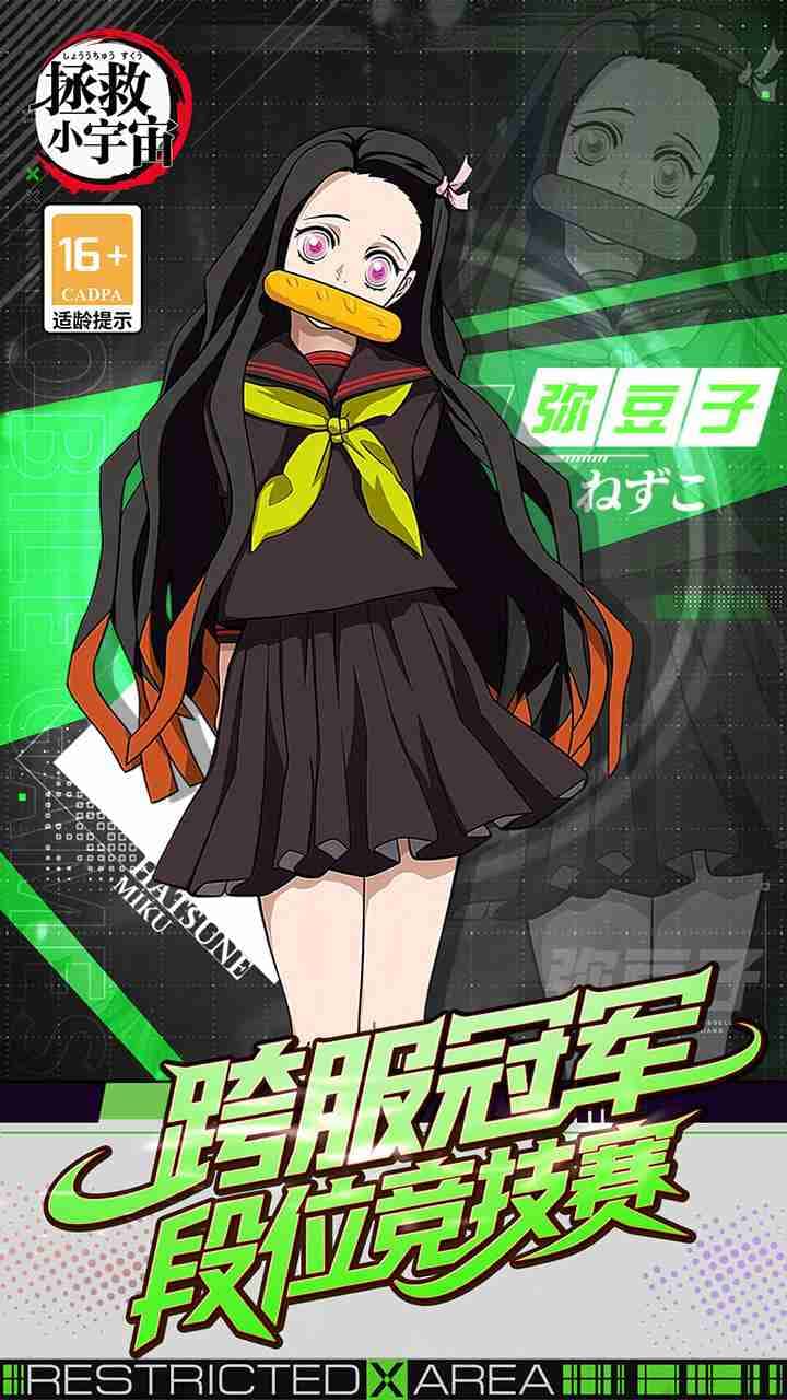 视觉数据6